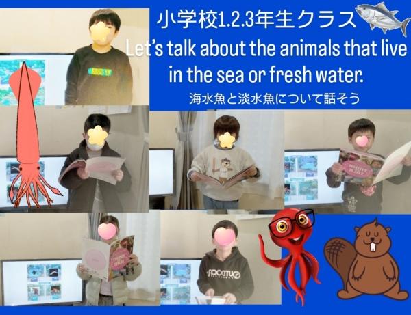 【小学校1.2.3年生英語英会話】海水生物？淡水生物？低学年でここまでする本気のカリキュラム！