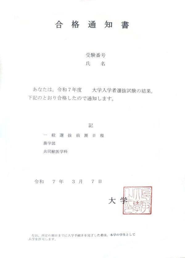 大学受験体験：「英語が心の支えに」