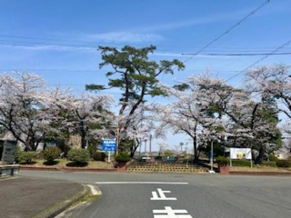 教室の雰囲気が分かる写真