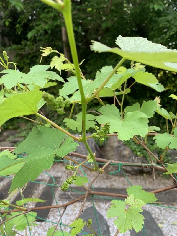 Week4のグッジョブ！ベスト3