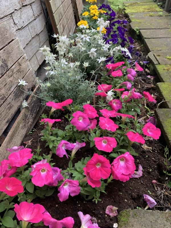 Week5のグッジョブ！　ベスト3