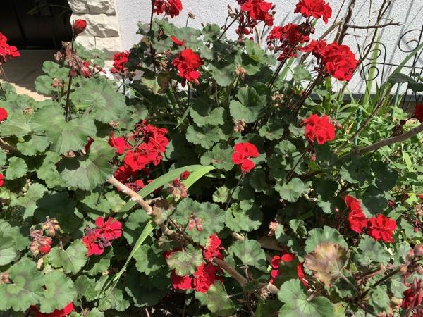 5/31土曜日英検®︎受験者さまへ