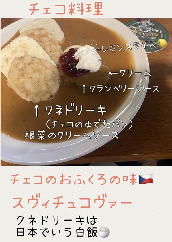 海外を知ろう　〜チェコ編〜　その2