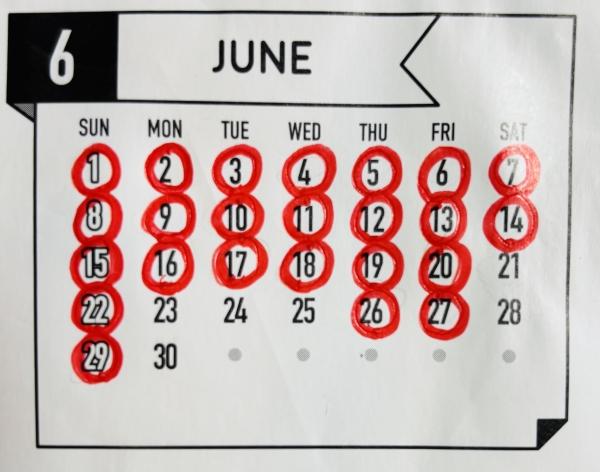 6月スケジュール