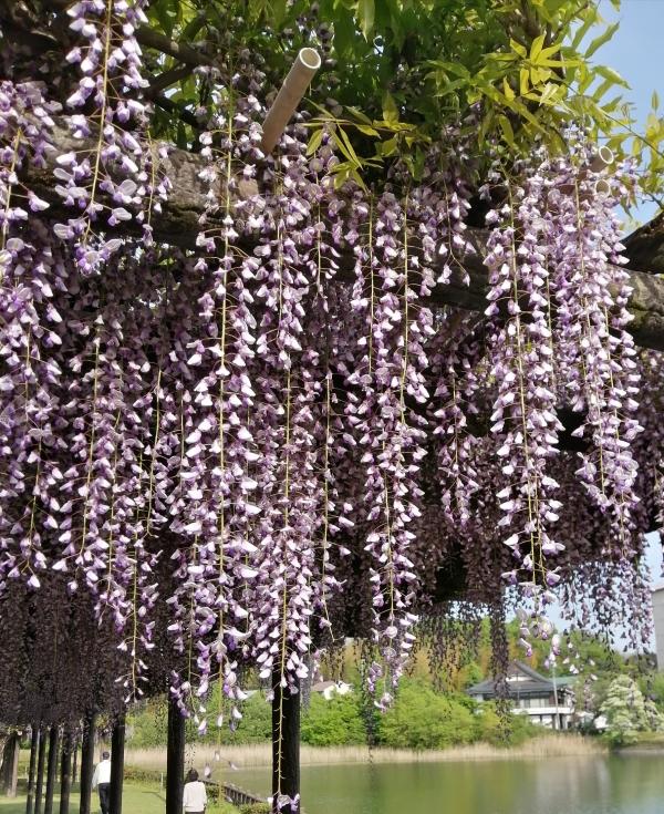 楽しい春からギアを上げて本気の夏へ