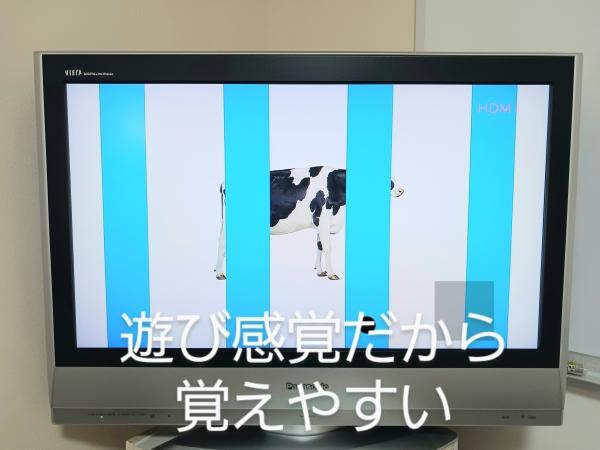 遊び感覚だから覚えやすい