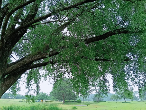 【❀myself❀】知っていますか？やる気の順番