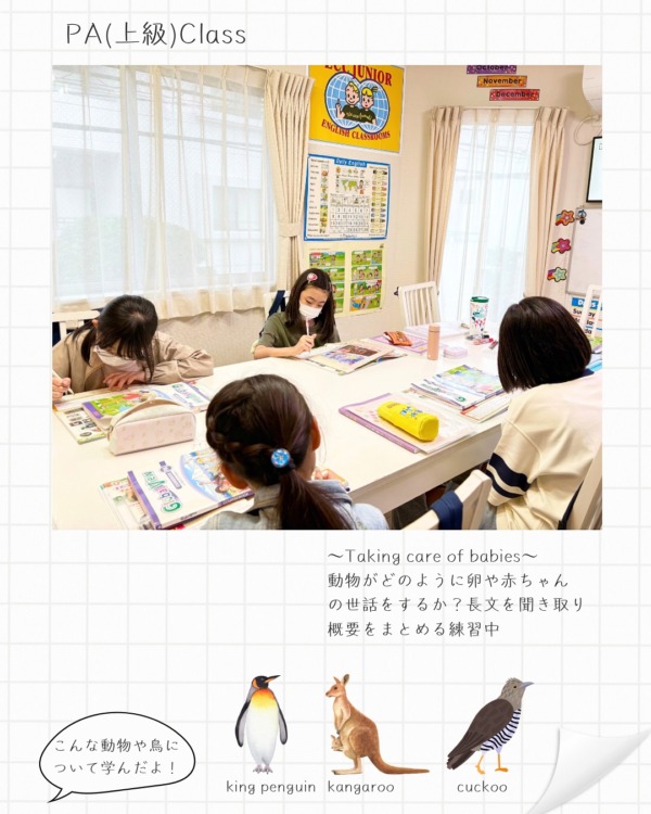 PA（上級）クラス