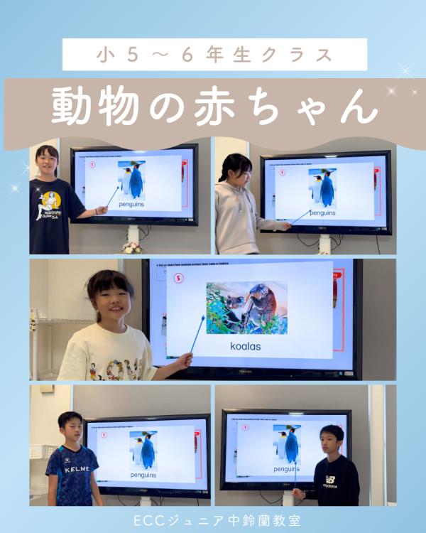 【小学5・6年生クラス】  英語で学ぶ「動物の赤ちゃん」〜命の大切さを伝える発表に挑戦！