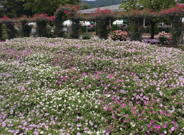 読み聞かせの工夫