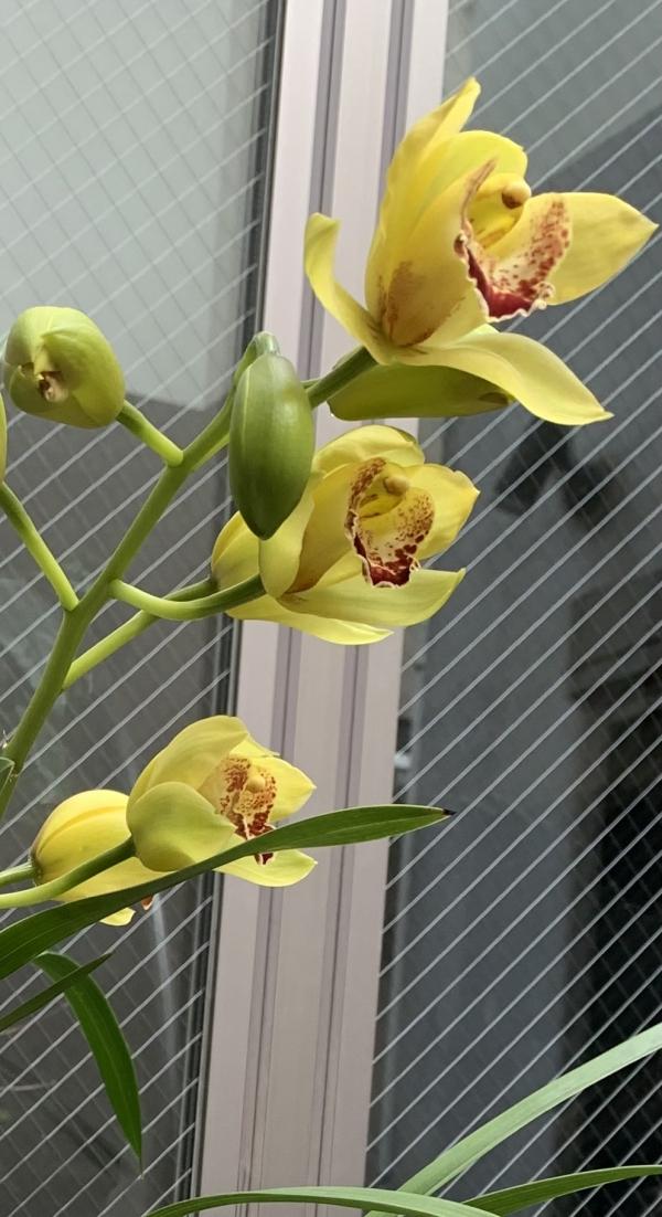 Week8のグッジョブ！　ベスト3