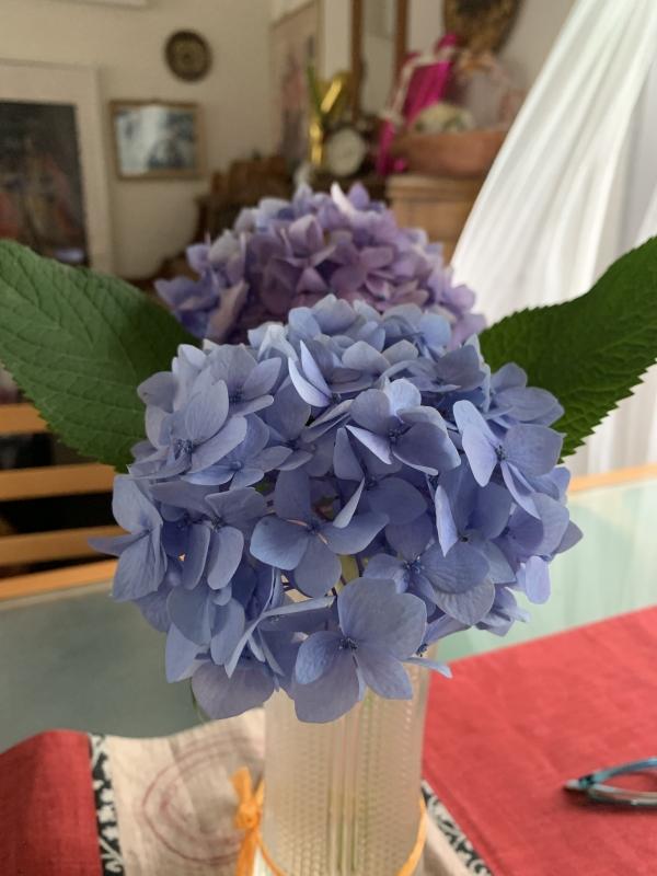 第1回英検®︎一次合格