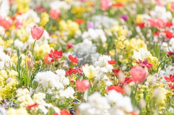 英検®2024年度第2回および第3回試験合格者