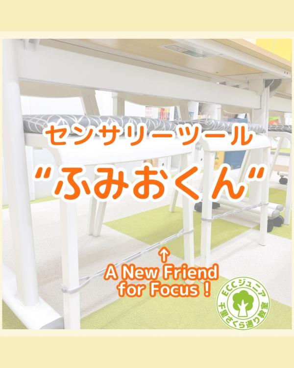 ✧ 新アイテム導入✧