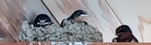 2025年　4月～5月のハイライト