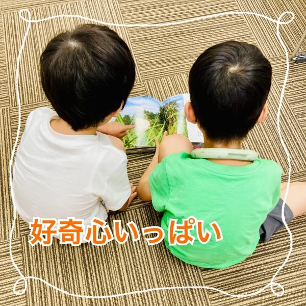 ECCジュニア琴似駅前教室には、絵本がたくさん