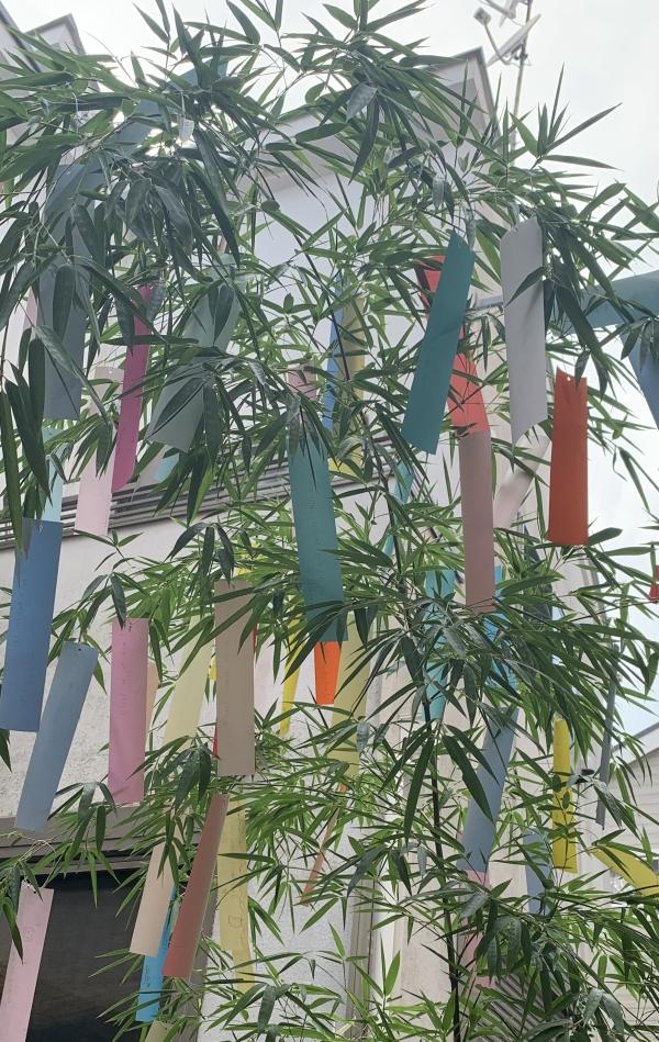 Week12のグッジョブ！