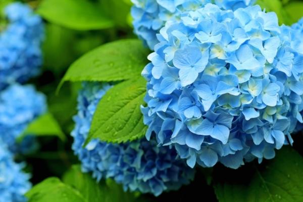 生徒様からの感謝のお言葉