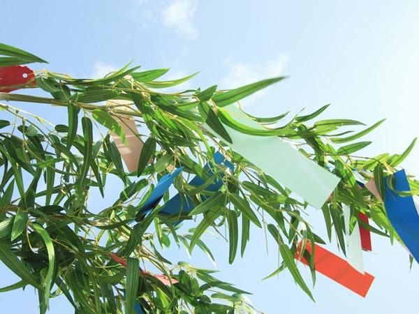 ☆3歳児　PT 無料体験レッスン☆