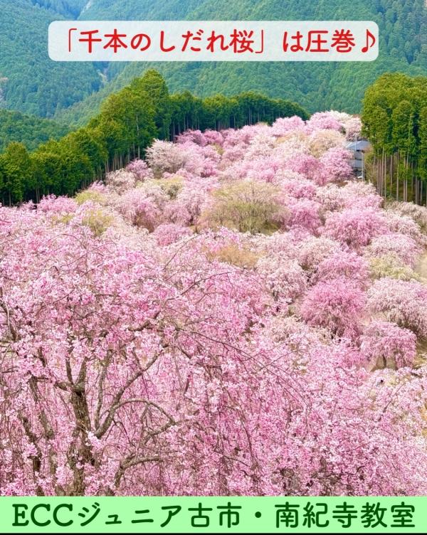 高見の郷(たかみのさと)へ♪