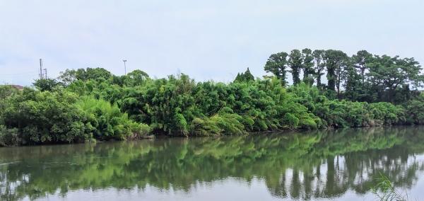 文科省「英語力」調査　鹿児島は？