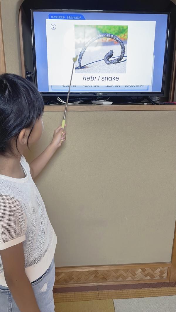 〔高学年初年度〕Do you like ◯◯?