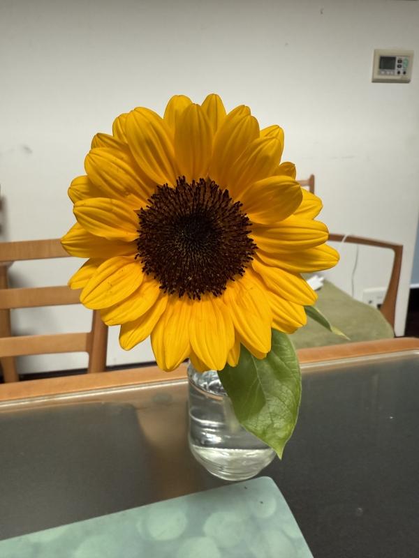 漢検®無事終了