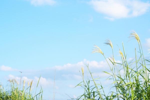 二学期が始まりました！