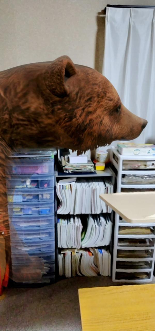 今年、成人になった卒業生たち