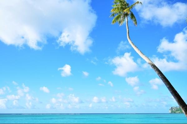 【在籍生向け】夏休みのお知らせ