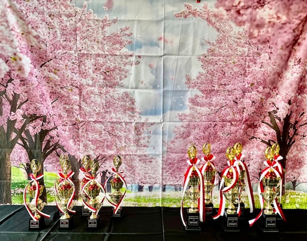 Spelling Bee Contest 