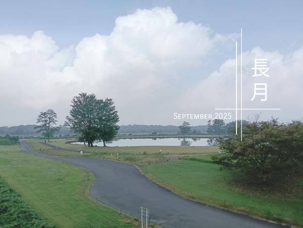 【❀myself❀】とうとう来てしまった9月が楽しみでしょうがない理由。