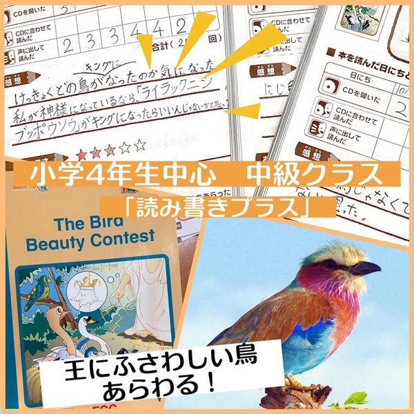 《 小学4年生中心 中級クラス 》