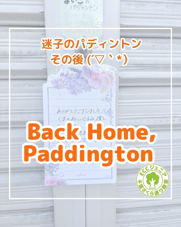✧ 迷子のパディントンその後✧