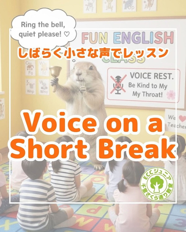 ✧ 大声、少しお休みします✧