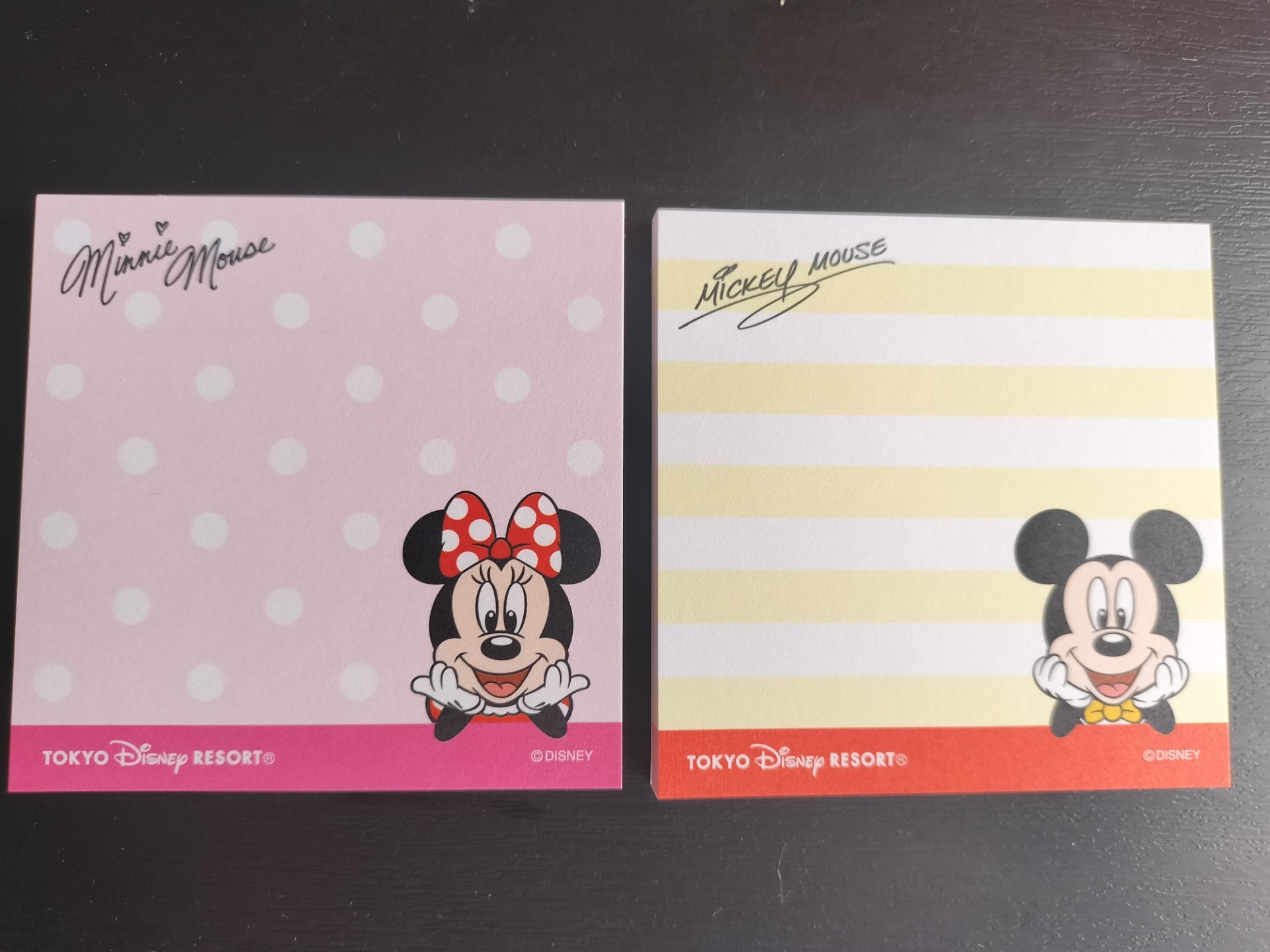 Y君が修学旅行先のディズニーでお土産を買って来てくれました