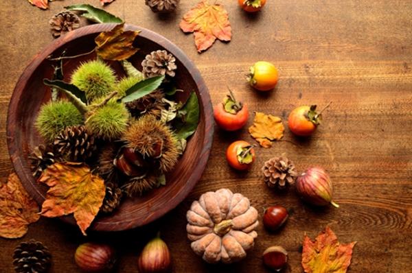 来年度に向けてのお知らせ