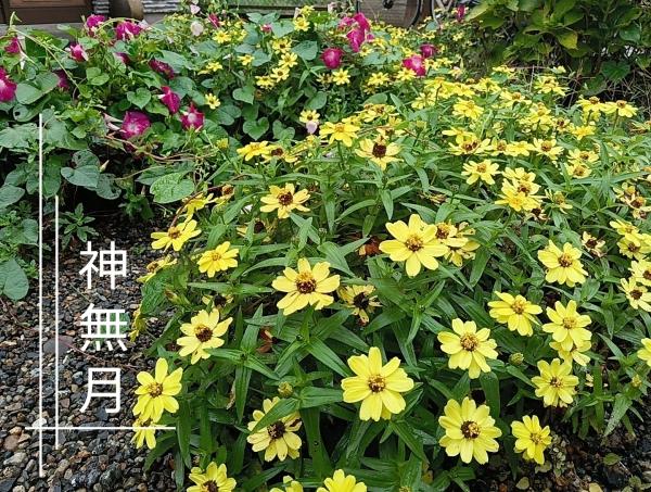 雨のスタート！10月