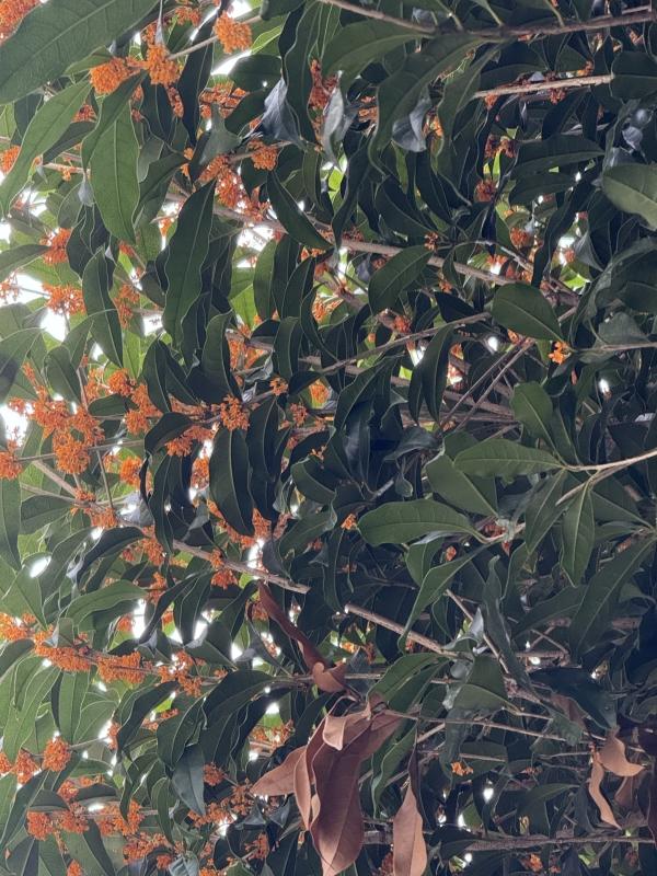 Week23のグッジョブ！