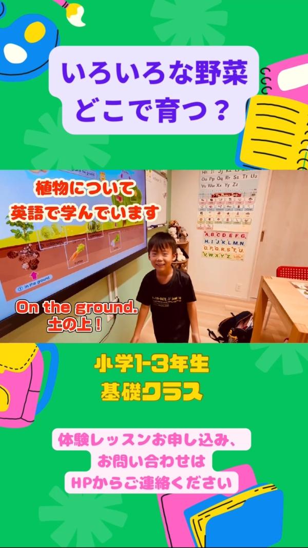 小学1-3年生基礎クラス、英語で！学ぶ