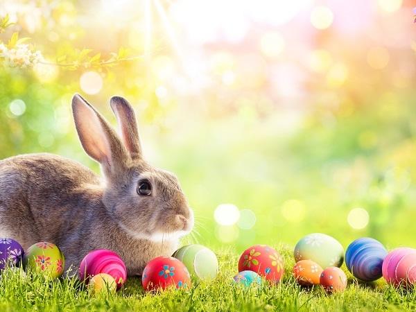 ☆幼児4・5 Fun Facts のレッスン！☆