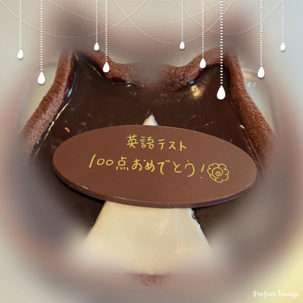 二学期中間テスト★中学一年生★英語★満点★