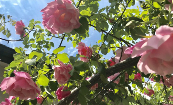 5月生募集中！！