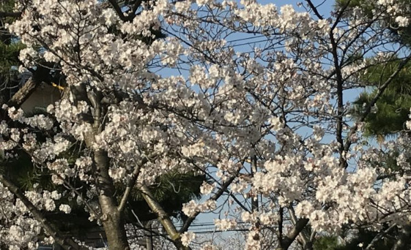 合格、合格、合格!!