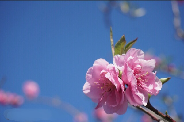2021新学期スタート！ 1日レッスン体験受付中!!