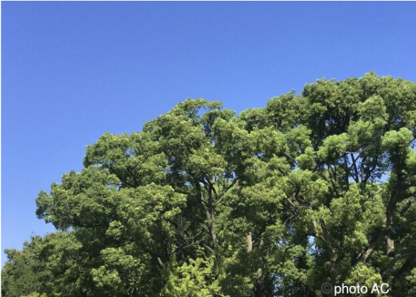 5月生募集！ 無料体験レッスン実施中!!