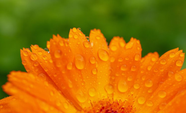 4・5才クラス募集中！ まもなく開講 2022年度