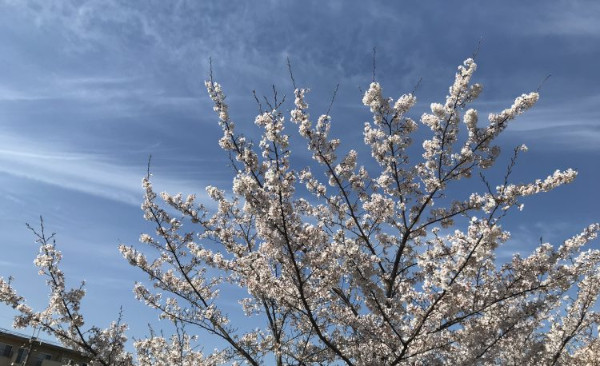 卒業生が訪ねてくれました♪