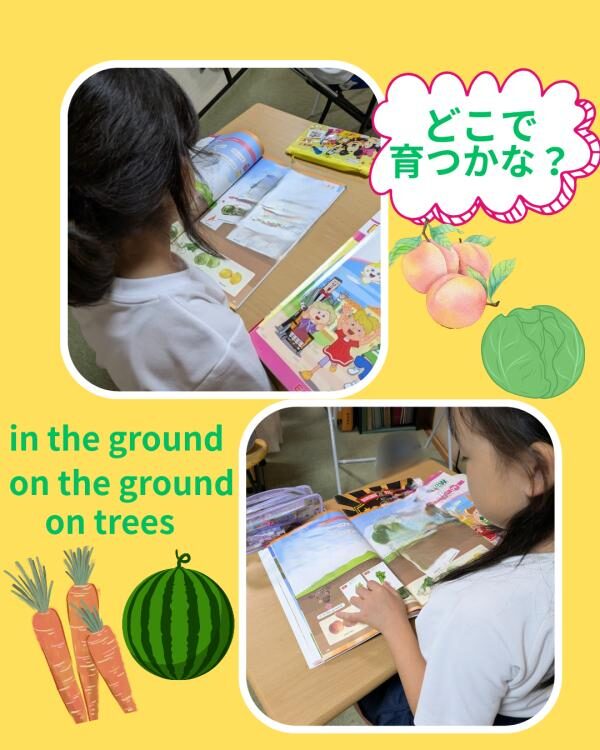 どこで育つかな？