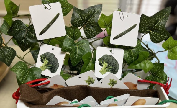 お野菜とれたよ！ 2、3才クラス擬似体験遊び